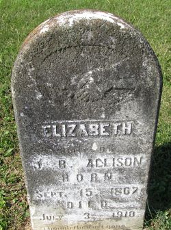 Elizabeth A. <I>Pike</I> Allison 
