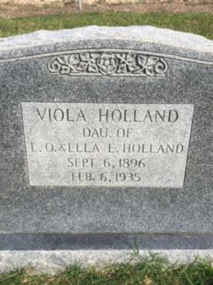 Viola <I>Holland</I> Holland 