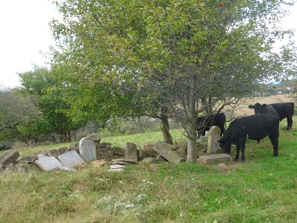 Kemper Graveyard