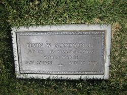 Elvin W Goodwin Jr.