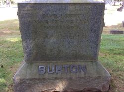 Daniel B Burton 