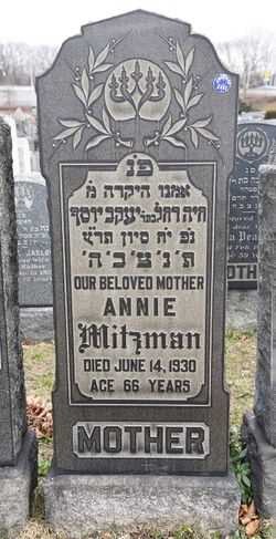Annie Mitzman 