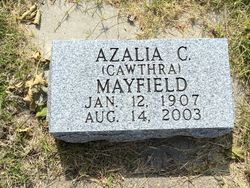 Azalia C <I>Cawthra</I> Mayfield 