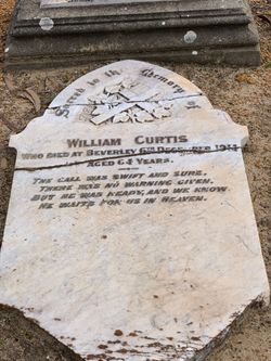 William Curtis 