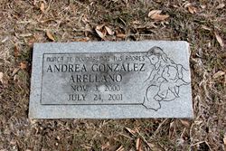 Andrea Gonzalez Arellano 