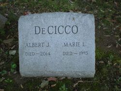 Albert John DeCicco 