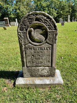 D. William L. Tilley 