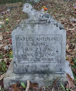 Arlis Anthony Young 