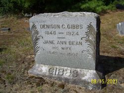 Jane Ann <I>Bean</I> Gibbs 