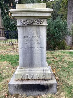Abel Adams 