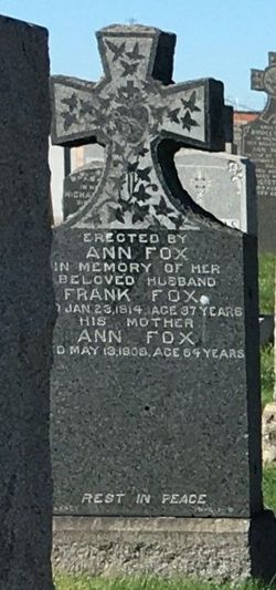Ann Fox 