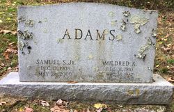 Samuel S Adams Jr.