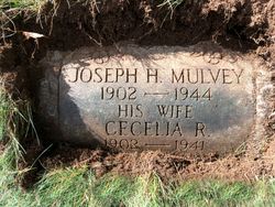 Joseph Henry Mulvey II