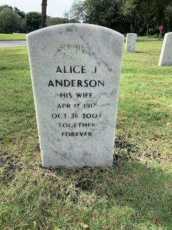 Alice J Anderson 