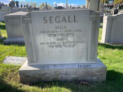 Bella Segall 