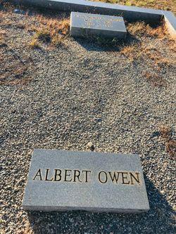 Albert Owen 