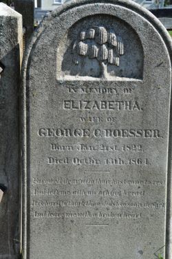 Elizabetha A Roesser 