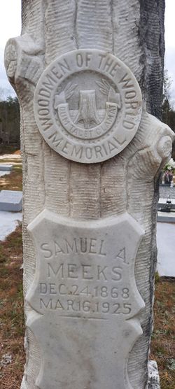 Samuel Anderson Meeks 