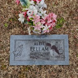 Allie Leon Pellam 