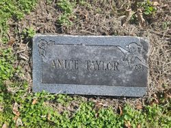 Annice Taylor 