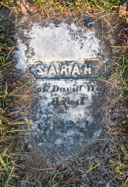 Sarah Wiggin 