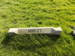 Morley 