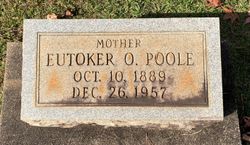Eutoker <I>Odom</I> Poole 