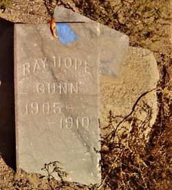 Ray Hope Gunn 