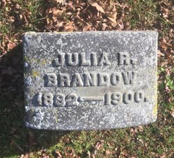 Julia R Brandow 