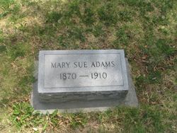Mary Sue <I>Mitchell</I> Adams 