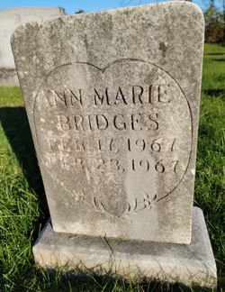 Ann Marie Bridges 