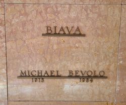 Michael Biava 