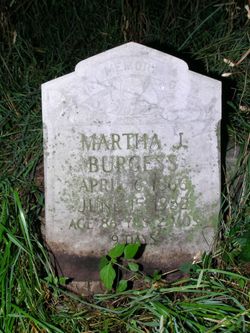 Martha Jane <I>Martin</I> Burgess 