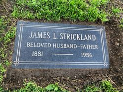 James Larkin Strickland 