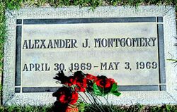 Alexander J. Montgomery 