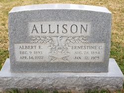 Albert Edward Allison 