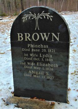 Phineas Brown 