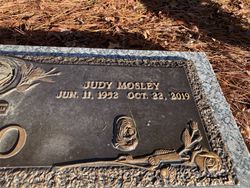 Judy <I>Mosley</I> Abdo 
