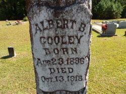 Albert B Cooley 