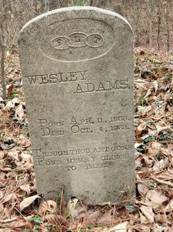 Wesley Adams 