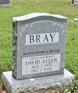 David Allen “Little Jim Henry” Bray 