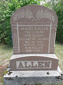 Albert Adamson Allen 