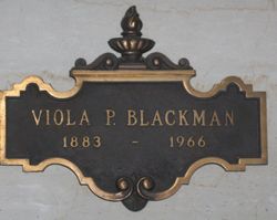 Viola <I>Peters</I> Blackman 