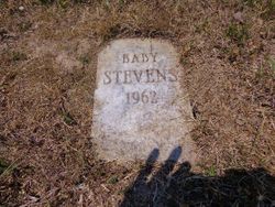 (baby) Stevens 