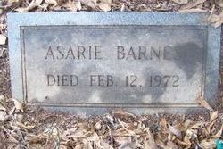 Asarie <I>Lumpkin</I> Barnes 