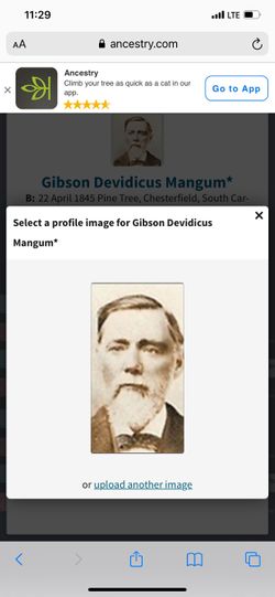 Gibson Devidicus Mangum 
