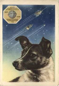 Laika “Kudryavka” Soviet Space Dog 