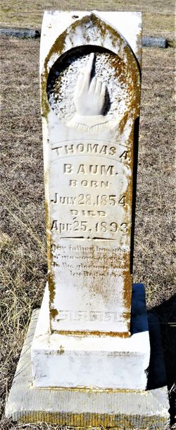 Thomas A Baum 