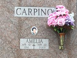 Amelia <I>Capisciolto</I> Carpino 