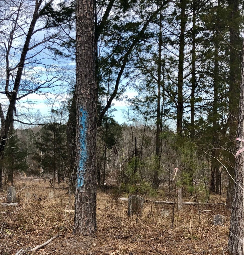 Old Mays Cemetery